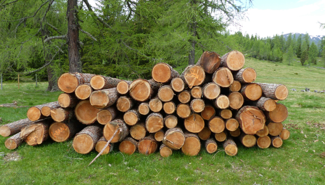 Holzstapel
