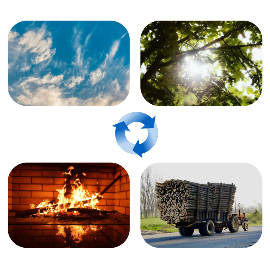 Schematische Darstellung eines geschlossenen Kohlenstoffkreislaufs zwischen Atmosphäre, Biomasse und Nutzung