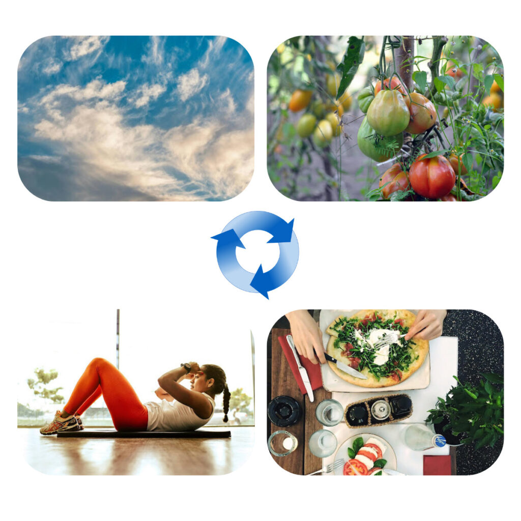 Schematische Darstellung eines geschlossenen Kohlenstoffkreislaufs zwischen Atmosphäre, Nahrung und Workout