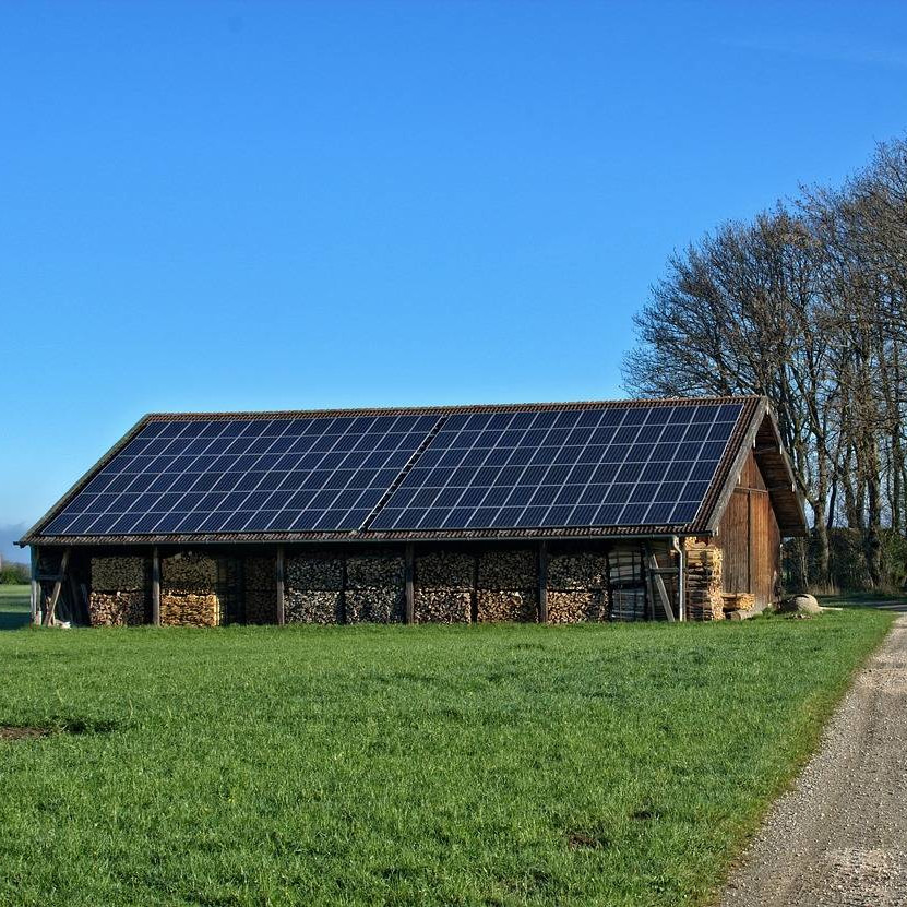 Kohlenstoffzyklus verstehen: Der Schlüssel zum effektiven Carbon Footprint Management