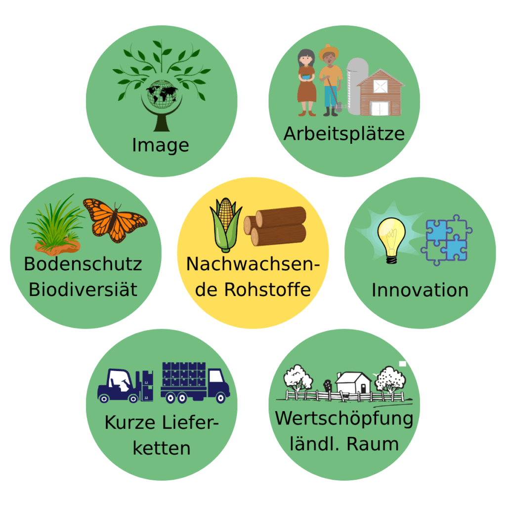 Zusatznutzen nachwachsender Rohstoffe - Unabhängigkeit, Umweltschutz, regionale Wertschöpfung und Innovation 