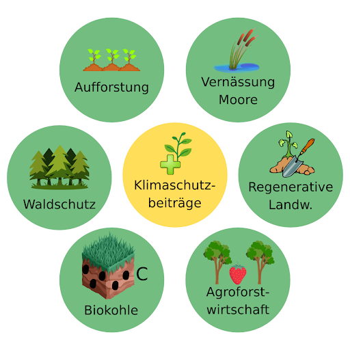Übersicht naturbasierter Klimaschutzbeiträge wie Aufforstung, Moorvernässung und regenerative Landwirtschaft