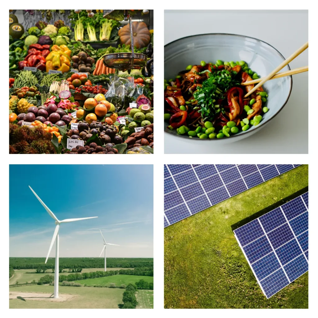 Vergleich des flüchtigen Energieflusses regenerativer Energien mit der zeitlich begrenzten Haltbarkeit von frischem Gemüse.